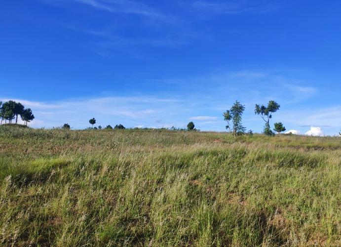 GRANDE OPPORTUNITÉ – TERRAIN À VENDRE À ALAKA ...
