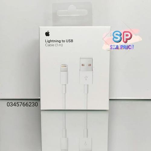 Câble USB Lightning 