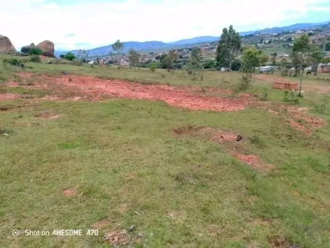 TANY AMIDY 
ambohimiadana Ampitatafika 
(am ...