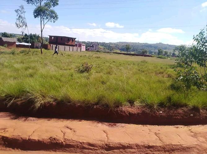  TANY AMIDY MAIKA 
Araraoty ry zareo, TANY m ...