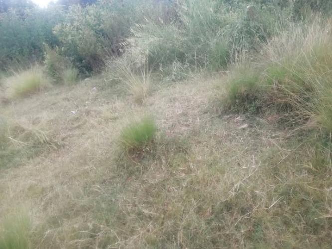 Iza ilay mitady tany kitapo latsak iren, soma ...