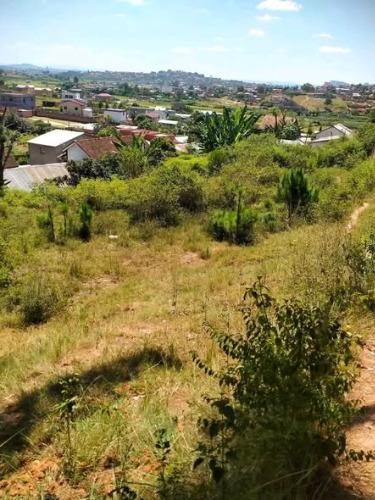 Talata Malaho 
5mn miala Amin arrêt bus
acc ...