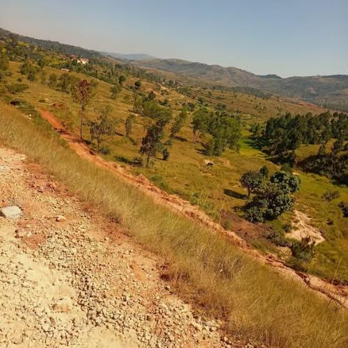 tany premier plan Ambomangarova 
manakaiky n ...