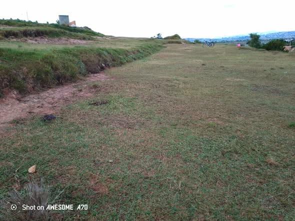 Tany amidy maika_mora vidy 
        
 Amboh ...