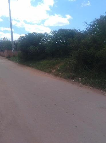 TERRAIN A VENDRE A AMBATOFOTSY SABOTSY NAMEHA ...